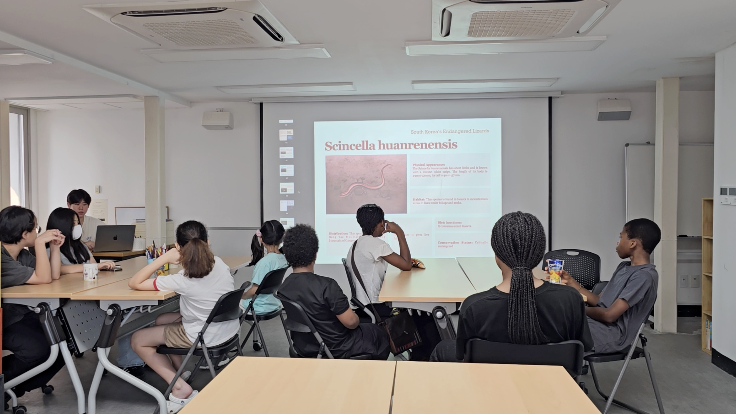 Classroom education session presenting about endangered reptile conservation