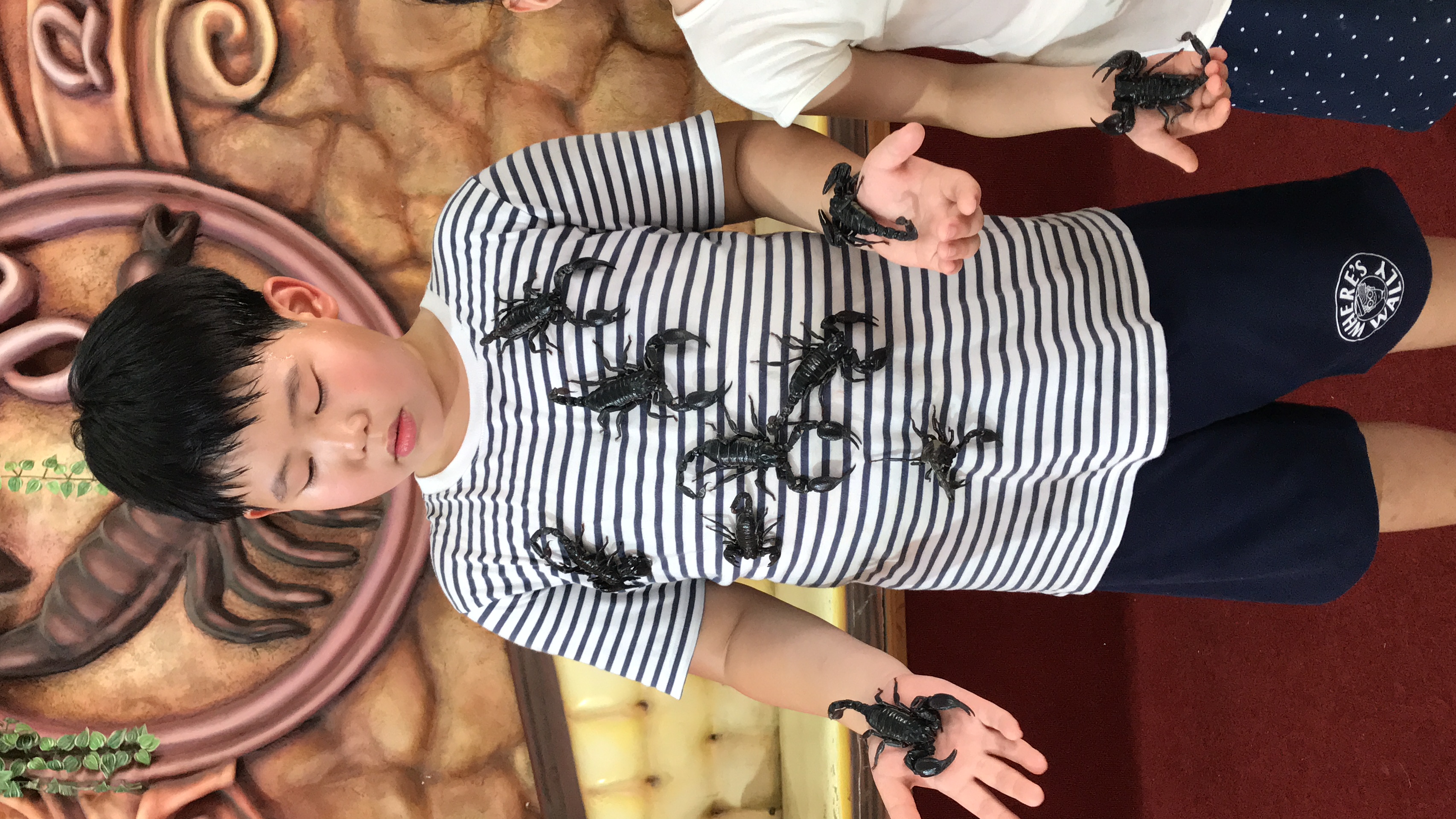 My early reptile journey