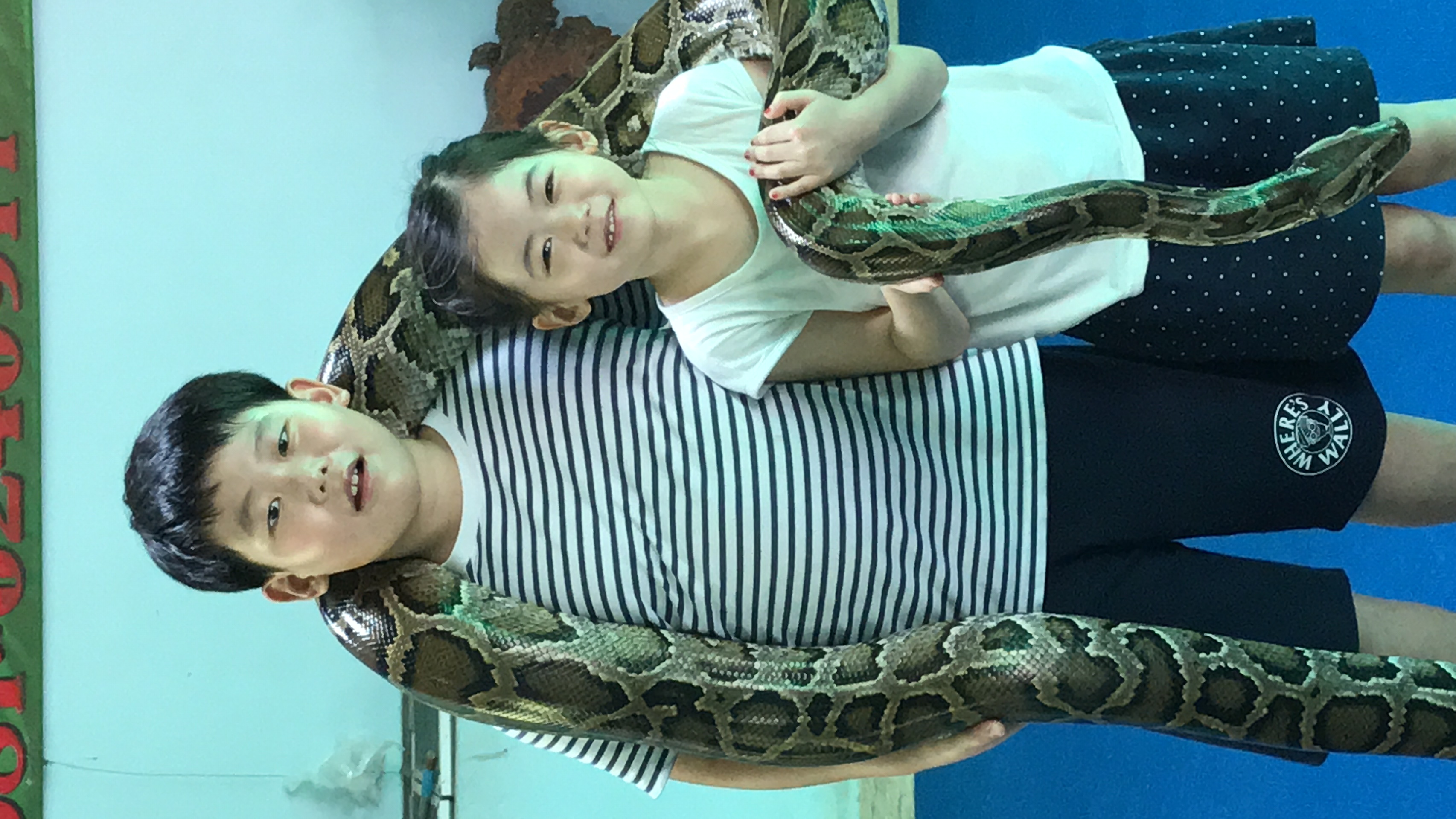 My early reptile journey