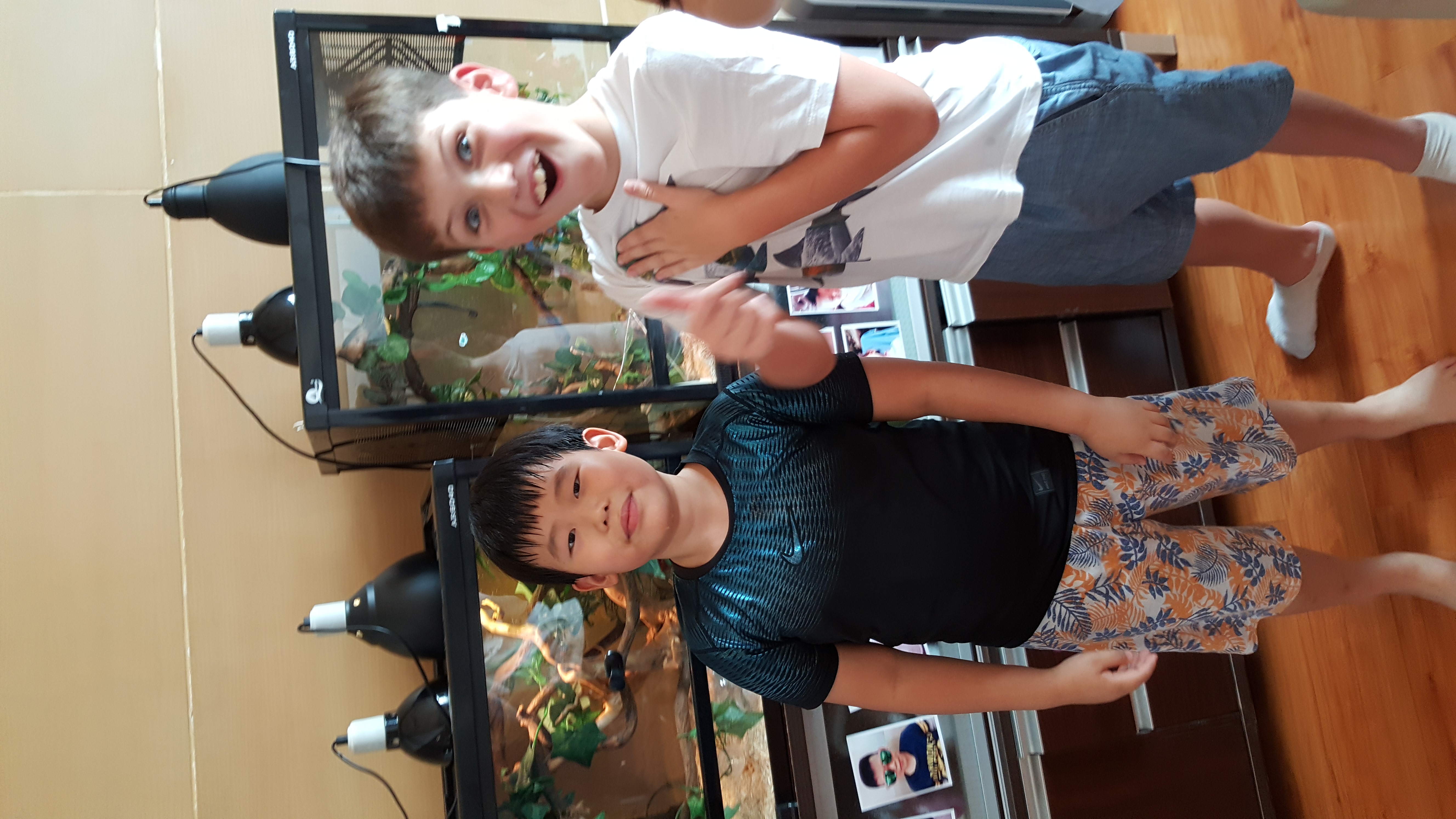 My early reptile journey