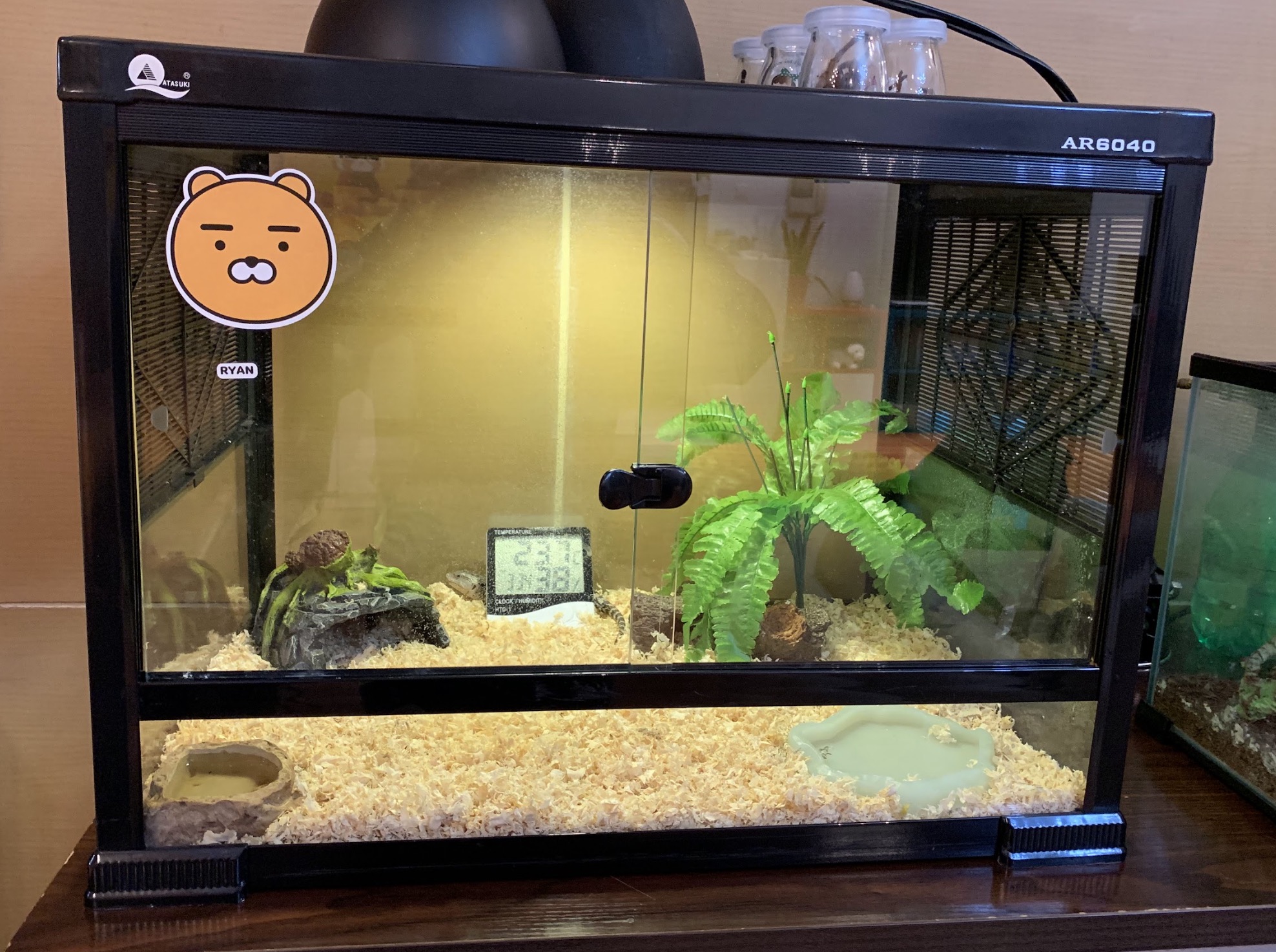 Cloud Forest Enclosure